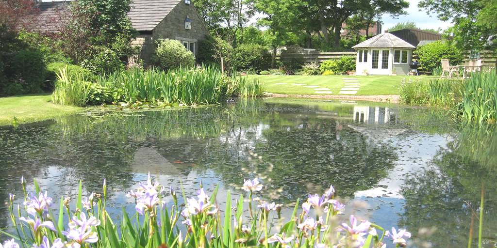 waarom vijver aanleggen in @city